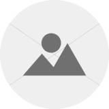 Ellipse 21